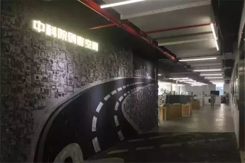 突破社交圈層，創業空間服務助力海歸美女主理的寵物事業新征程